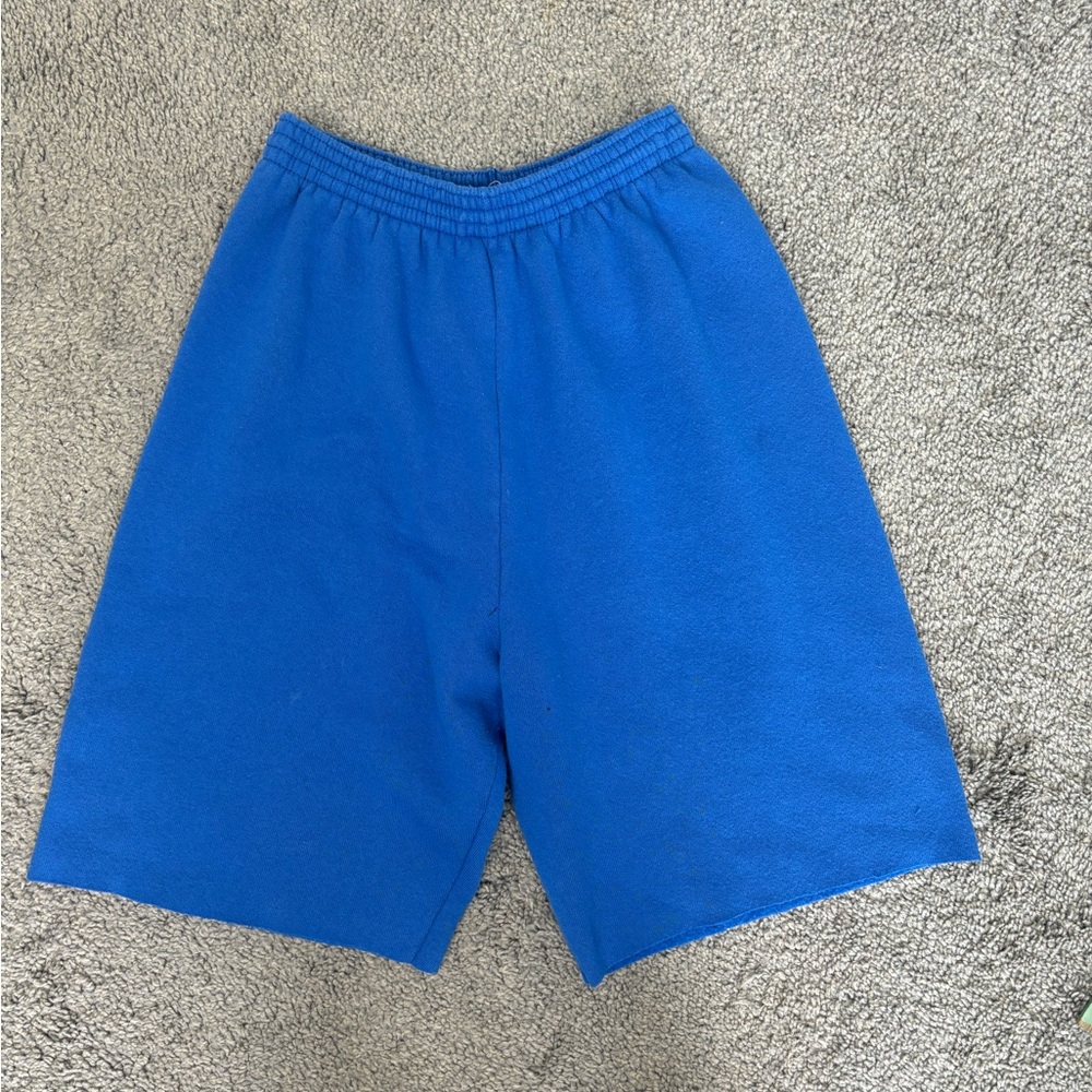 Vintage 90s blue tultex sweat‎ shorts